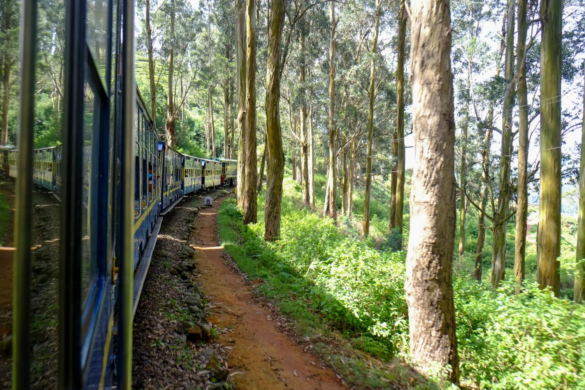 Ooty